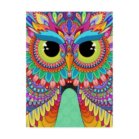 Hello Angel 'Rainbow Hoot' Canvas Art,14x19